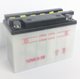 Battery - XT CG Series & GY50
