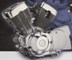 2V49 FMM 250cc Lifan V Custom Engine