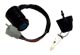 Terrahawk Ignition Switch