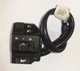 ZS 250 GS Switch Assembly L/H