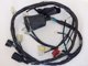 ZS 250 GS Wiring Harness