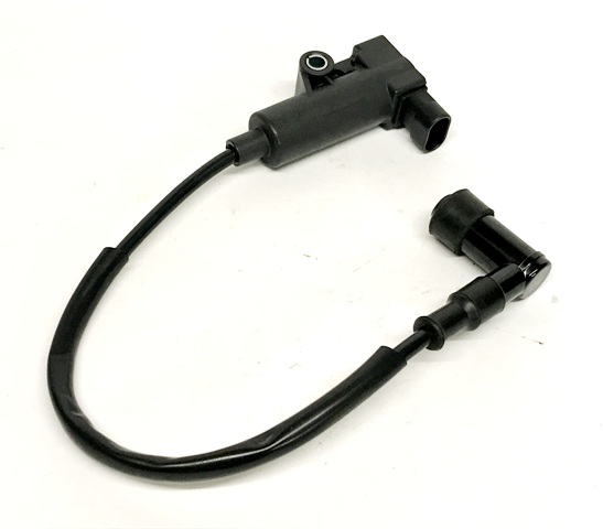 Ignition Coil and Cap