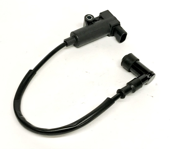 Ignition Coil and Cap Ignition Coil and Cap