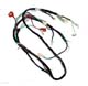 Wiring Harness - Storm Wiring Harness - Storm