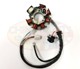 Stator Unit - 7 Pole Jianshe Yamaha YBR 154FMI  