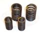 Valve Spring Set 156FMI 157FMI 