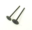 Inlet & Exhaust Valves - CH 250 Series
