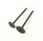 Inlet & Exhaust Valves - CH 250 Series Inlet & Exhaust Valves - CH 250 Series