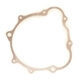 CG Left Crankcase Cover Gasket 156FMI 157FMI