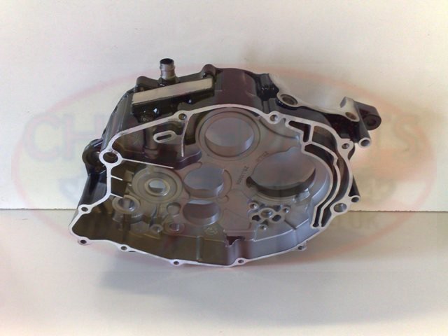 ZS 200 GY Crankcase (R/H)