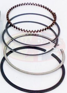 ZS 200 GY Piston Rings